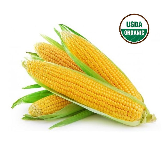 Freeze Dried Super Sweet Corn: ORGANIC, BULK BOX (Free Shipping)