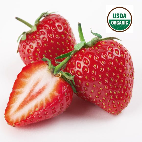 Freeze Dried Strawberries: ORGANIC, BULK BOX (Free Shipping)